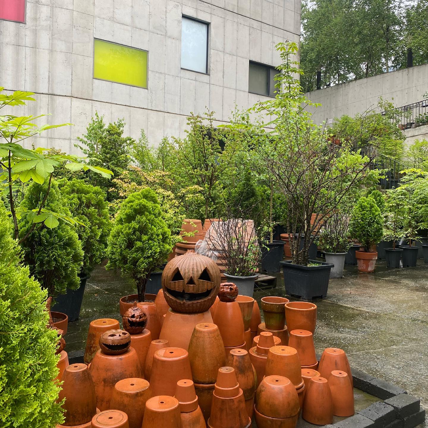 하이드파크(Hyde Park)