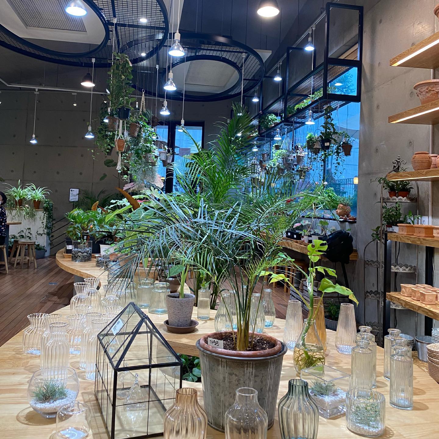 하이드파크(Hyde Park)