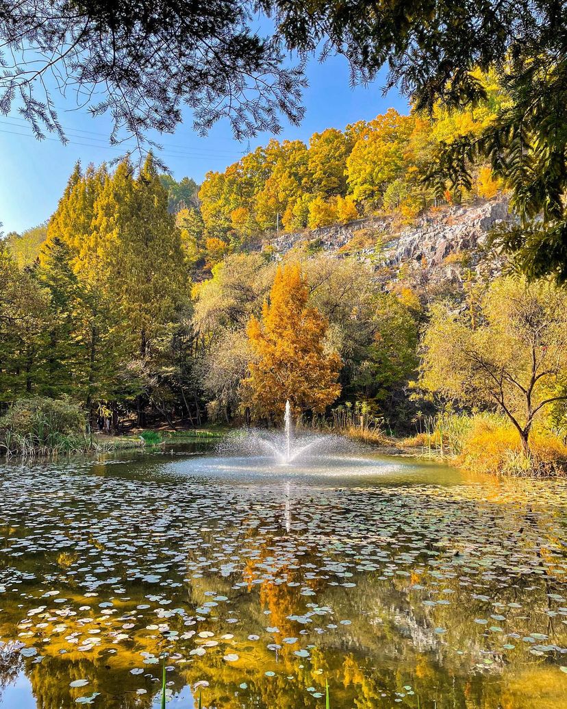 A Quiet Andong Getaway with Scenic Beauty and a Touch of Poetry