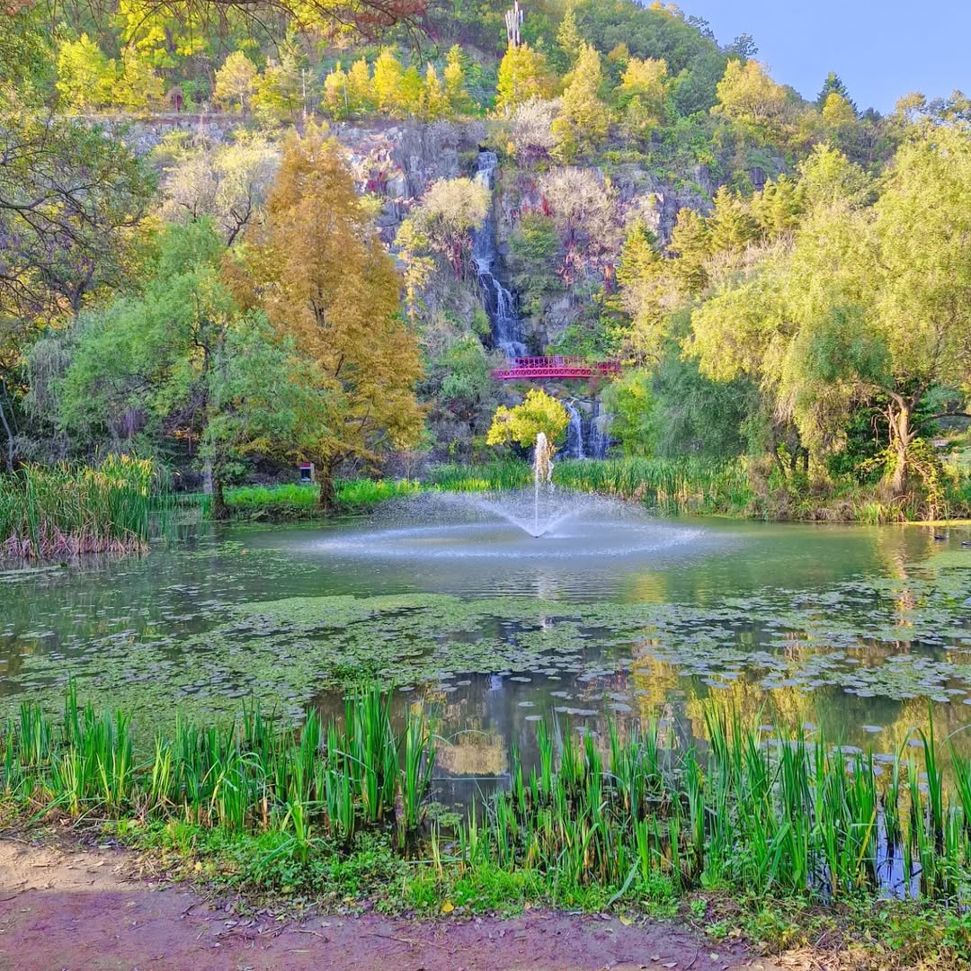 An Autumn Trip to Andong at Its Best