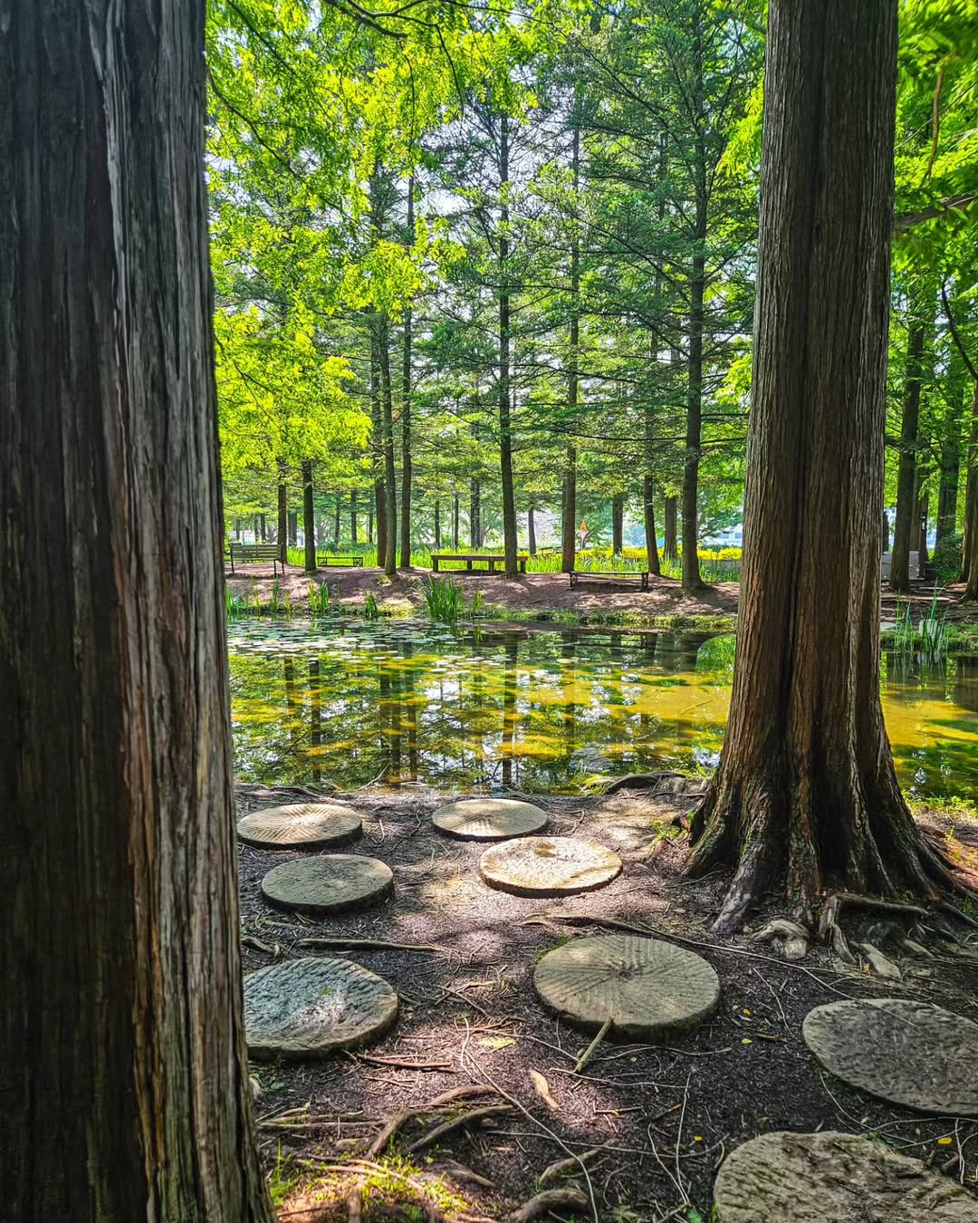 낙강물길공원(Nakgang Mulgil Park)