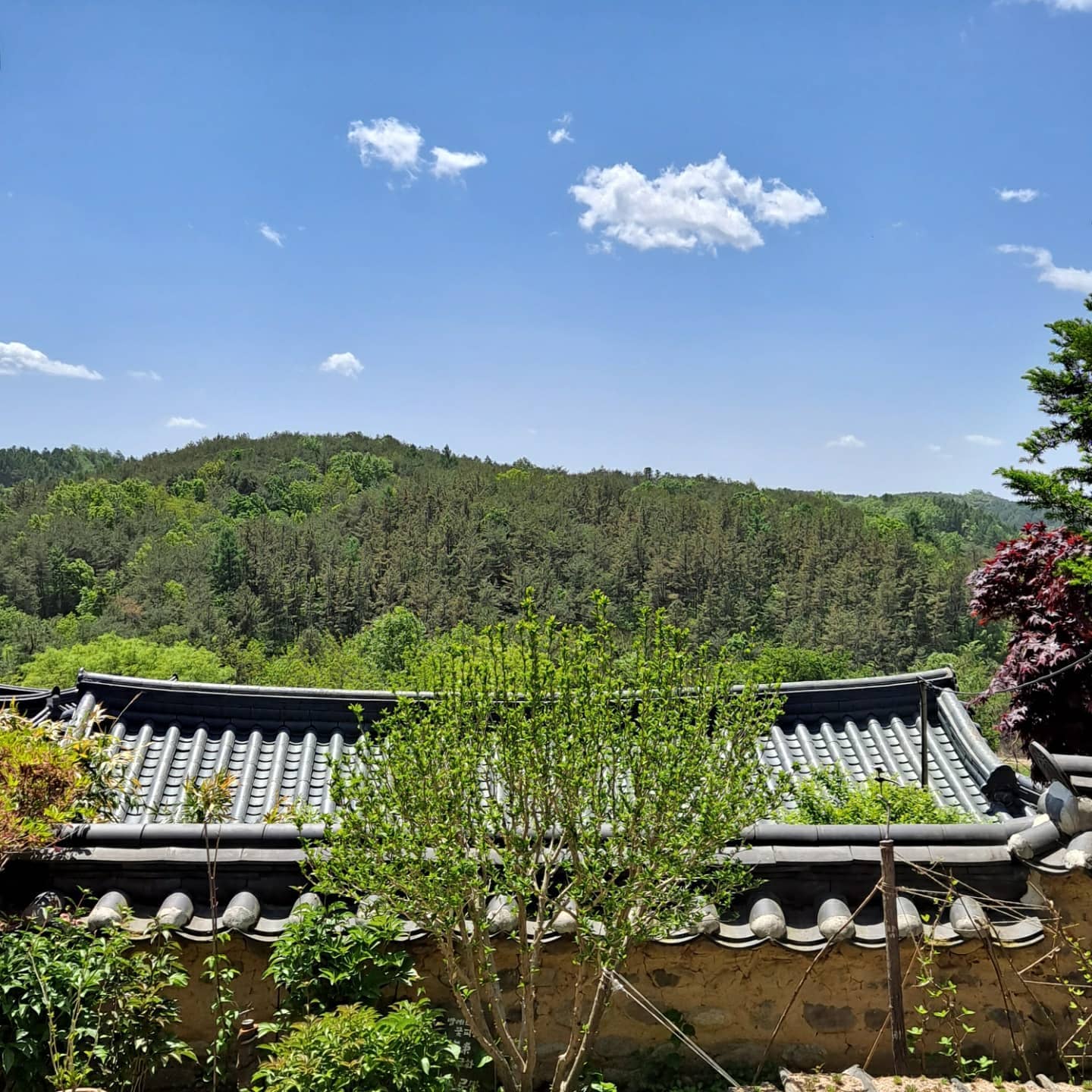 안동군자마을 (Andong Gunja Village)