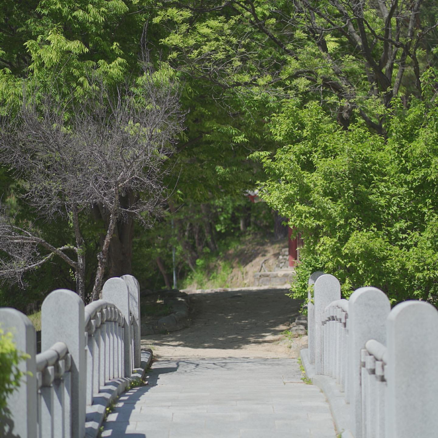 안동민속촌 's picture